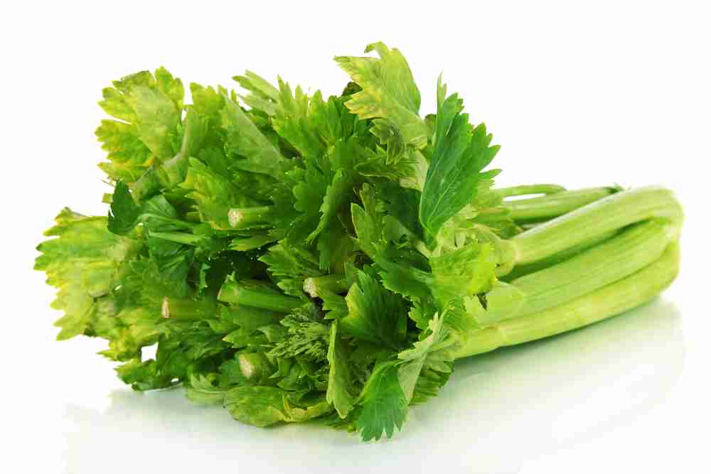 celery-seed