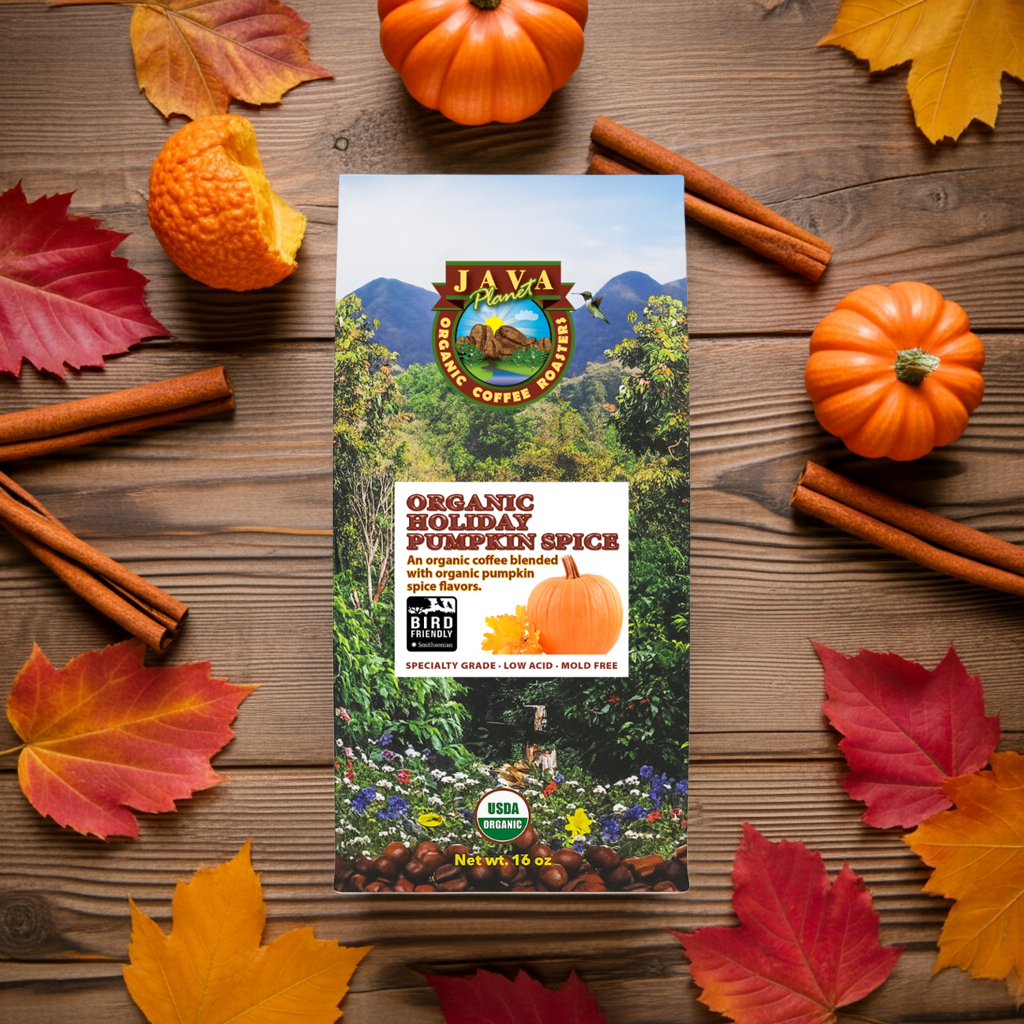 Java Planet Organic Pumpkin Spice flavored coffee bag surrounded by fall leaves and pumpkins