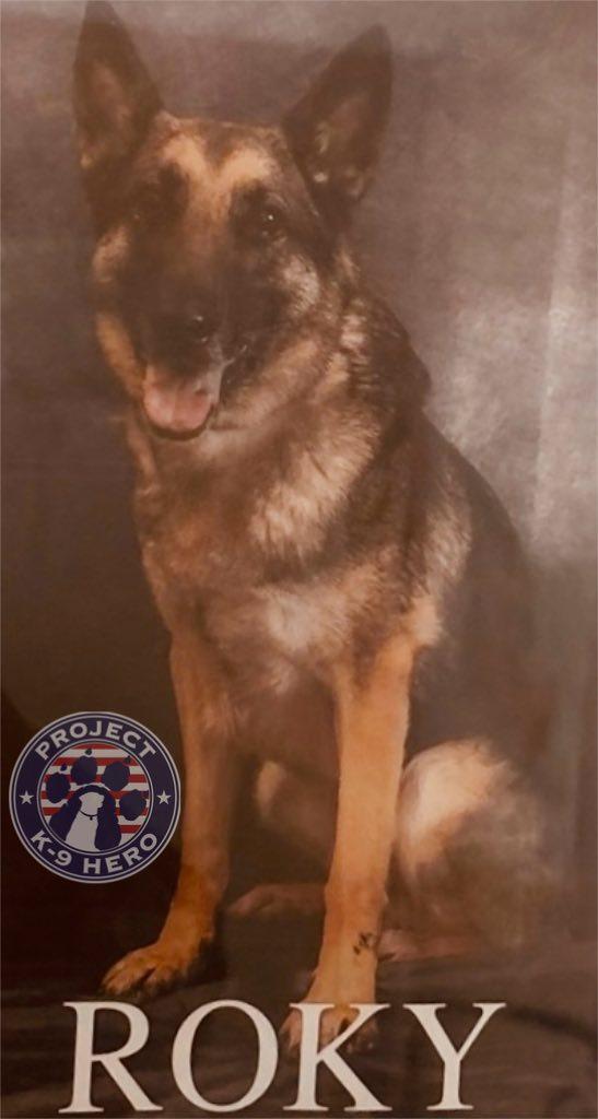 k9 chilly sky and her handler