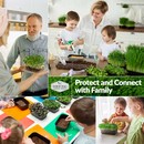 Protect and connect with family by growing microgreens