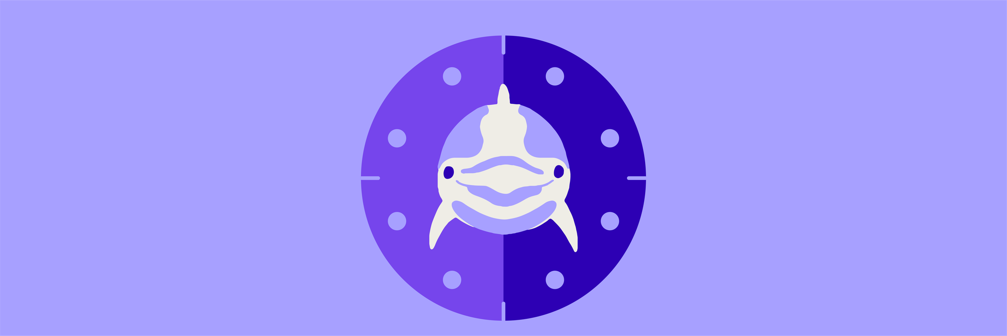 The head of a dolphin in the center of a clock represents the dolphin chronotype.