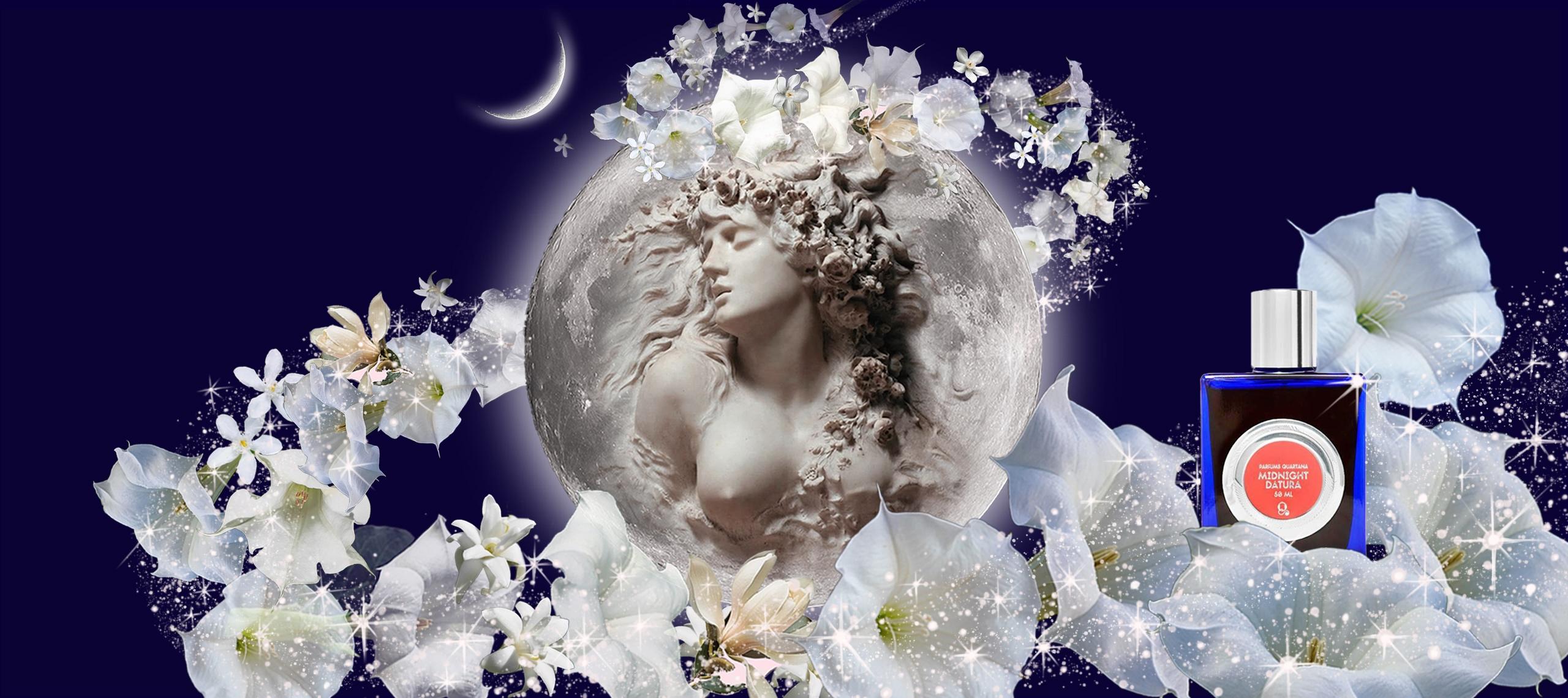 Midnight Datura eau de parfum