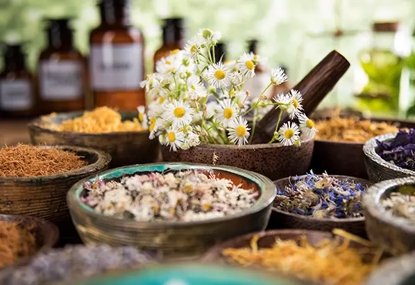 Ayurvedic Botanicals 1