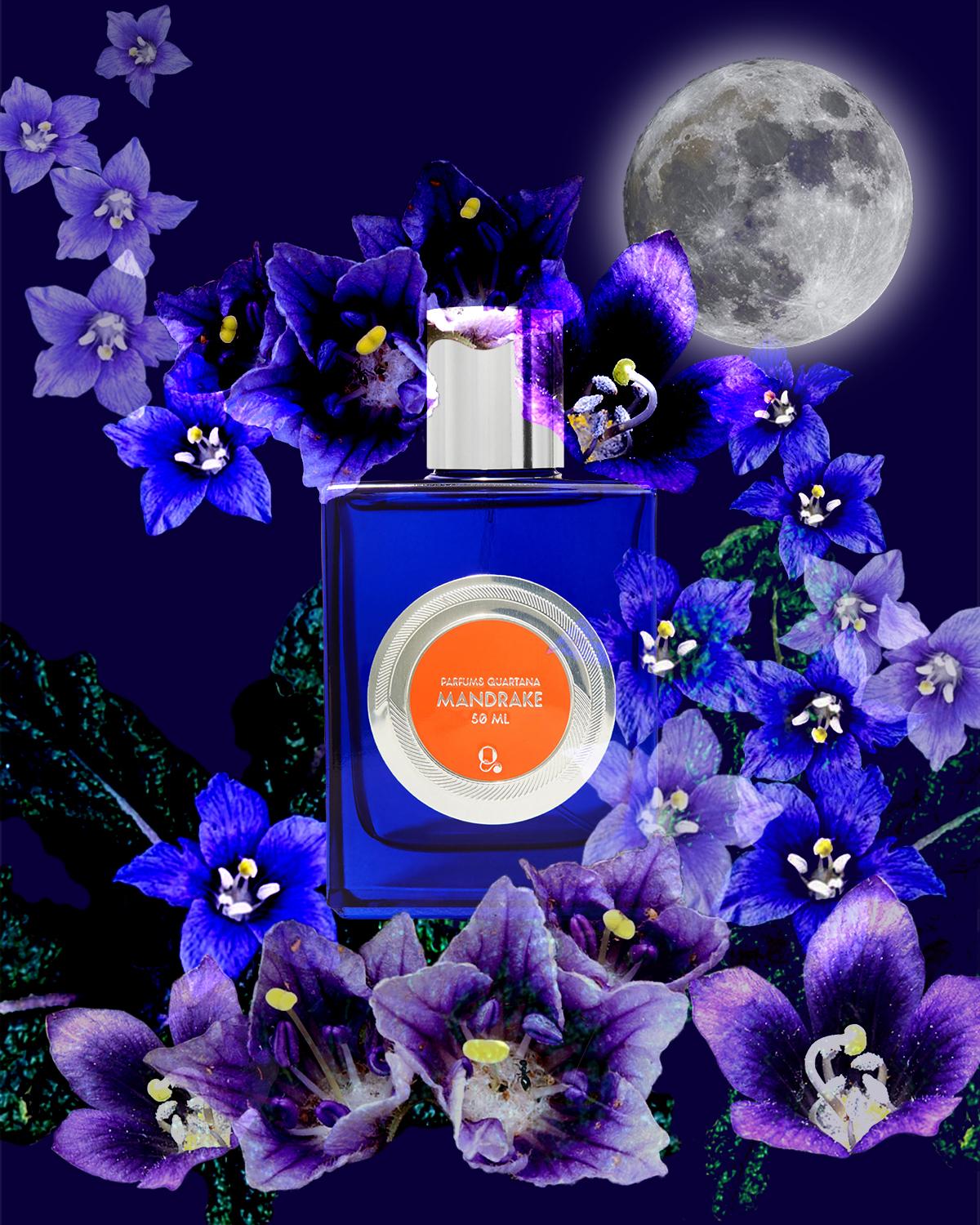 Mandrake 50mL Bottle