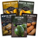 5 packets of heirloom squash seeds