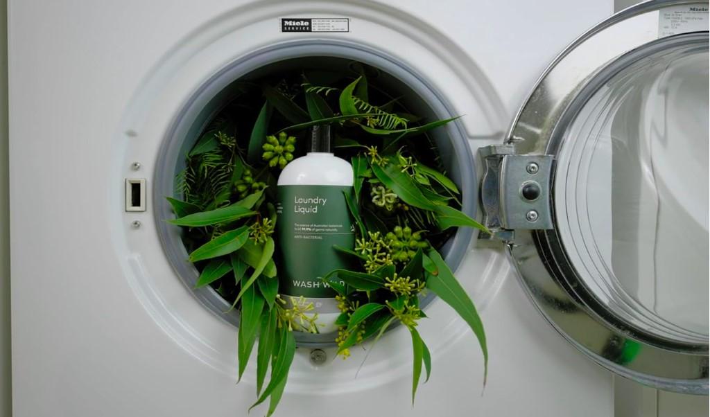 Non-Toxic Laundry Detergents Wash Wild Laundry Liquid