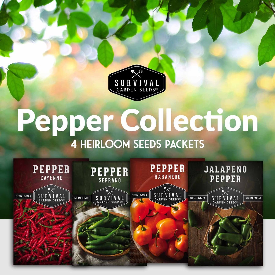 Hot Pepper Seed Collection - 4 heirloom peppers