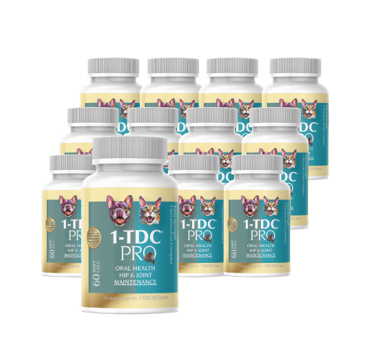 1-TDC ORAL HEALTH + MOBILITY SUPPORT FOR DOGS & CATS 2 Bottles (240 soft gels)