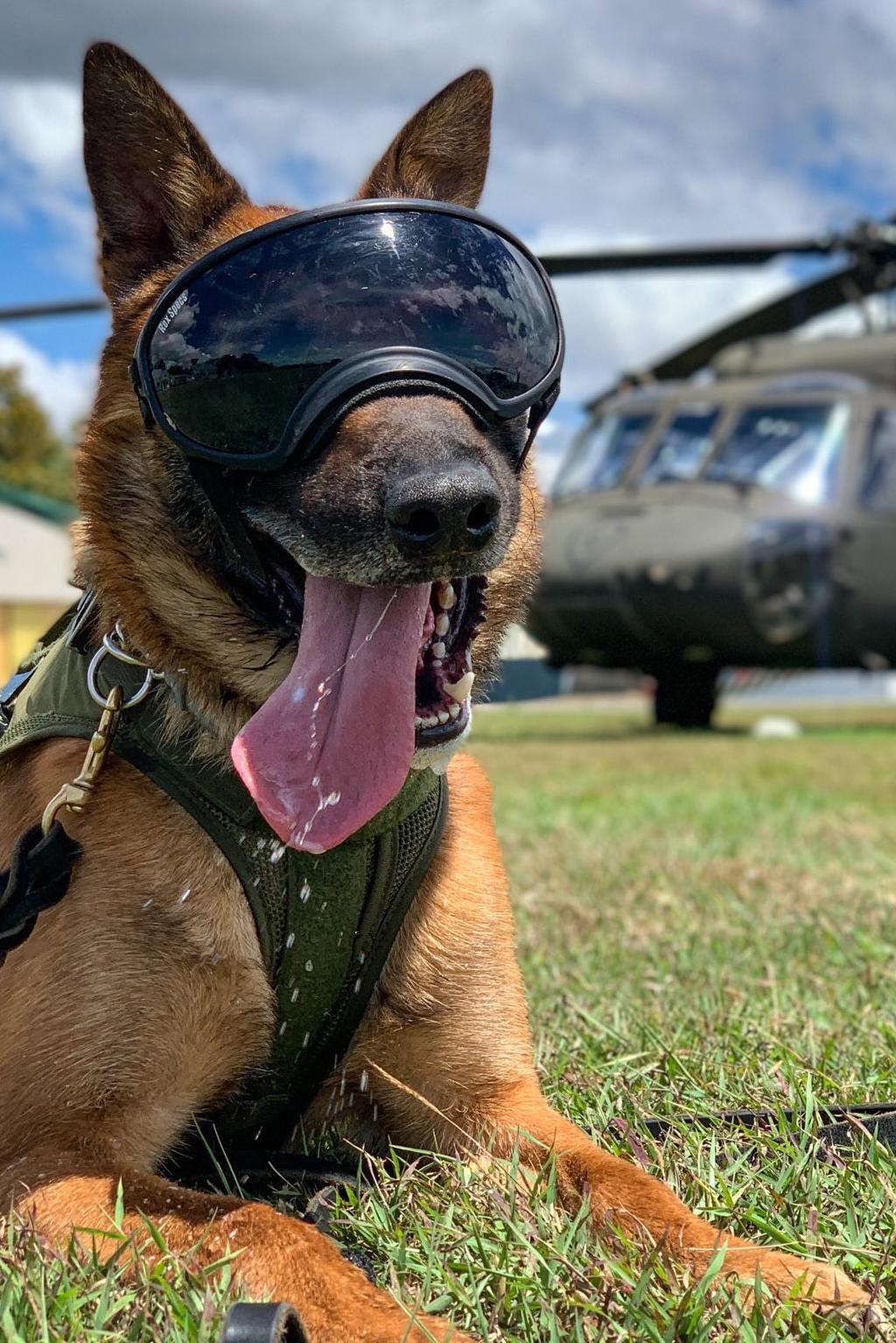 mpc lenny with helicopter