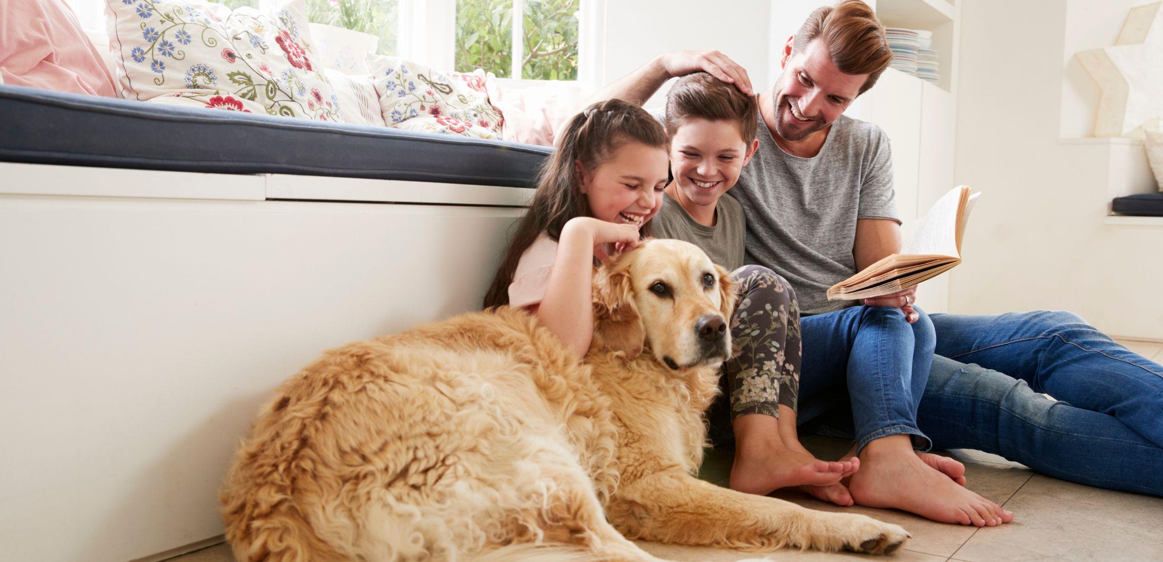 Female golden retriever with family