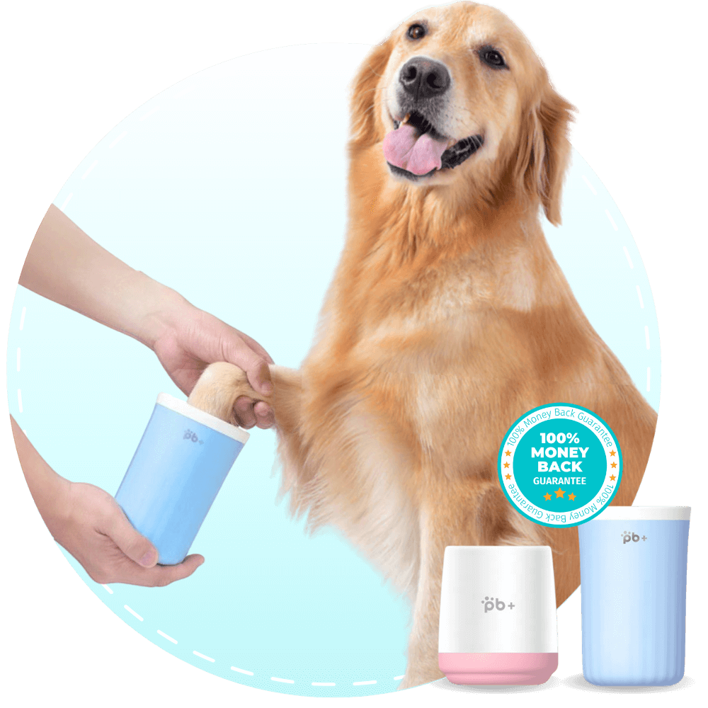 Dog Paw Cleaner and Washer Potty Buddy Potty Buddy™