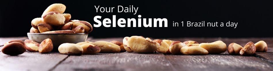 Selenium Rich Food