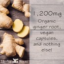 Aerial view of several pieces of ginger root with a couple of cut pieces. The text on the image says 1,00 mg organic ginger root, vegan capsules, and nothing else!