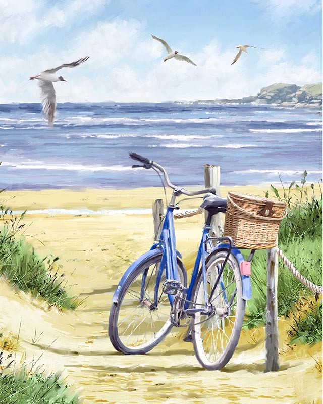Bike and Beach