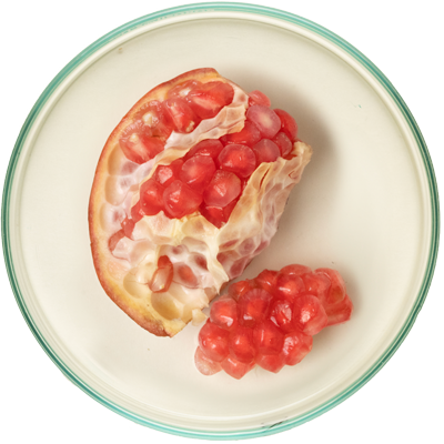 Pomegranate