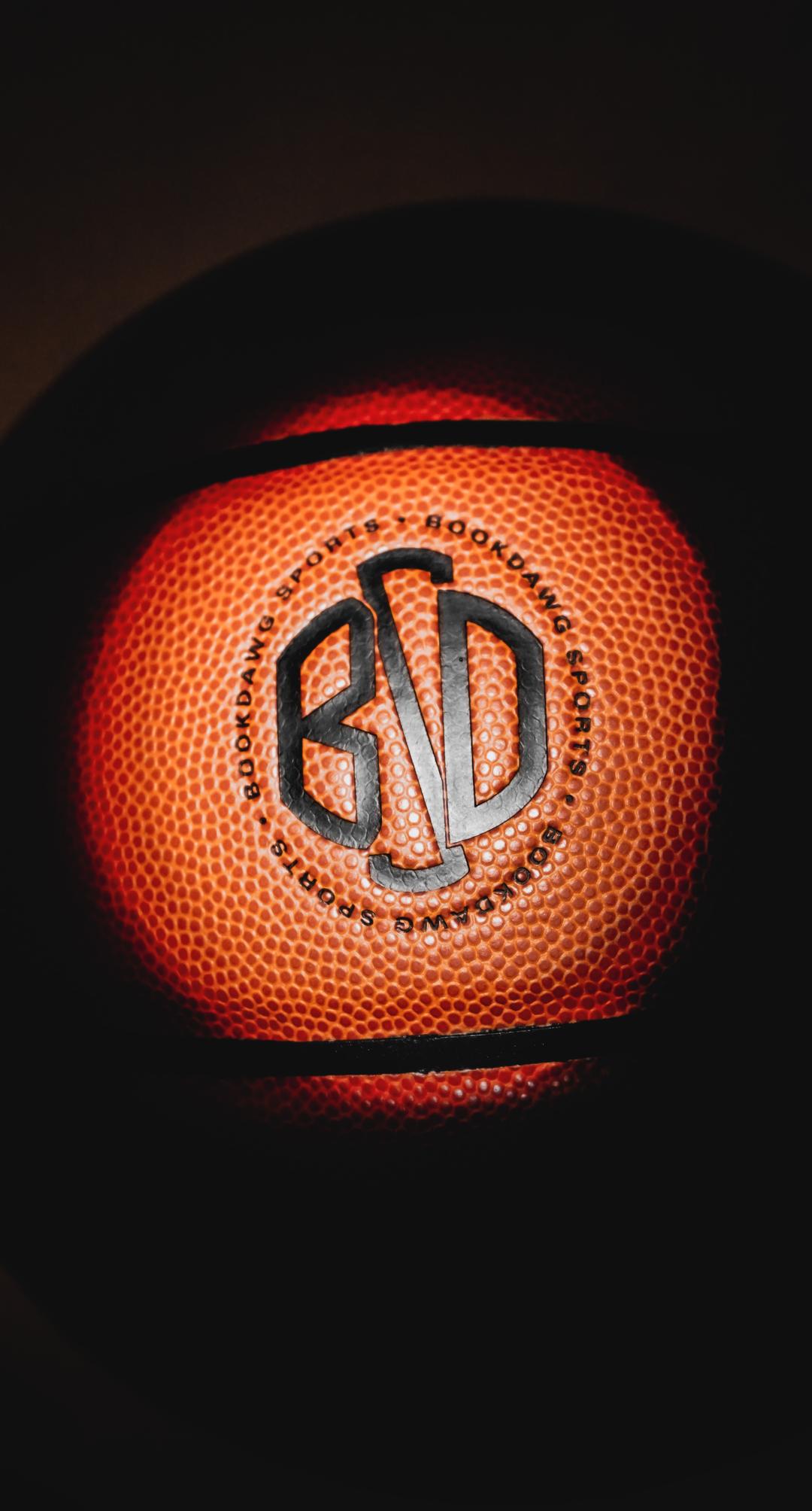 HW101 Indoor Game Ball