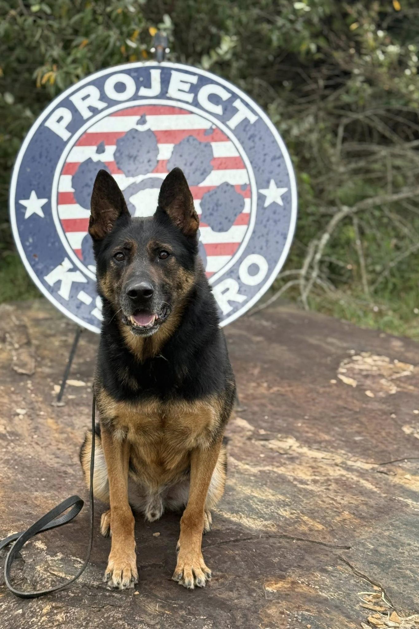 k9 digo at the PK9H facility