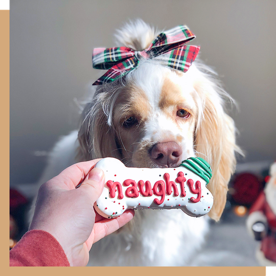 Wüfers Holiday Cookie Box Sneak Peek | Dog Christmas Gifts