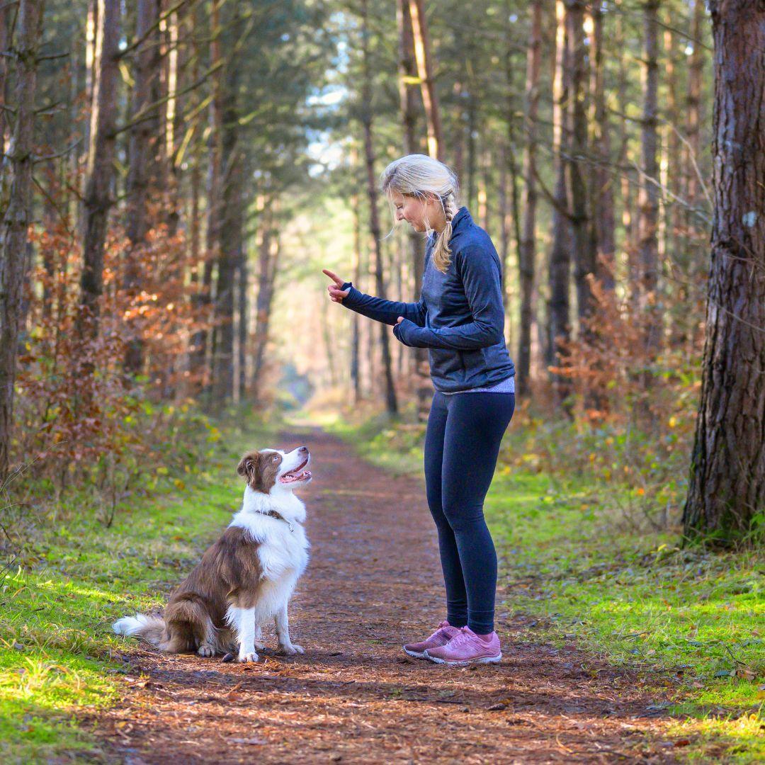 Woman training dog