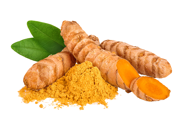 Curcuma Longa (Turmeric) Rhizome Extract