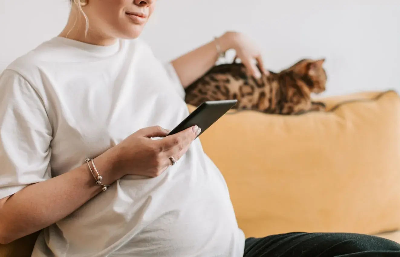 A checklist for safely managing pregnancy around cats, highlighting key precautions for expectant cat owners.