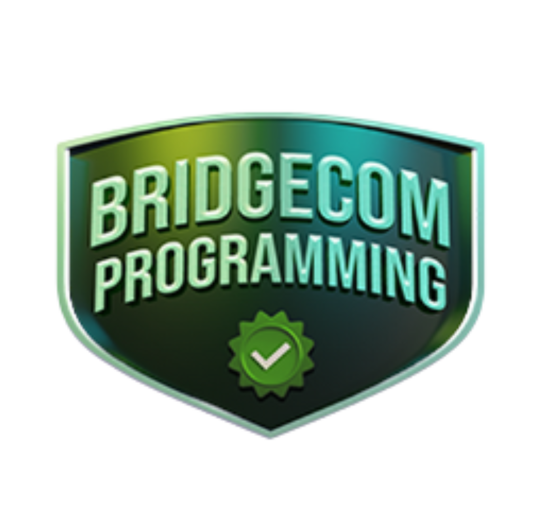 +BONUS 2: USA & International ULTRA Codeplug ($99.99 Value)
