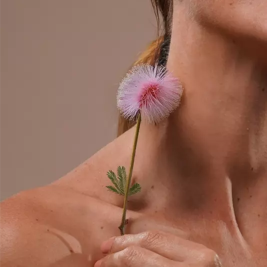 A woman holding a pink color mimosa pudica flower, near her neck