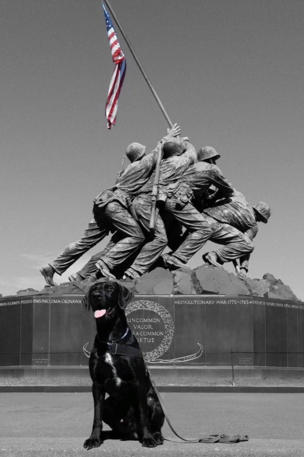 mwd iggy in front of war monument
