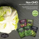 Non-GMO, non-hybrid, heirloom lettuce seeds