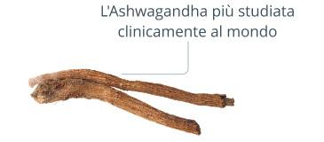 KSM-66 Ashwagandha