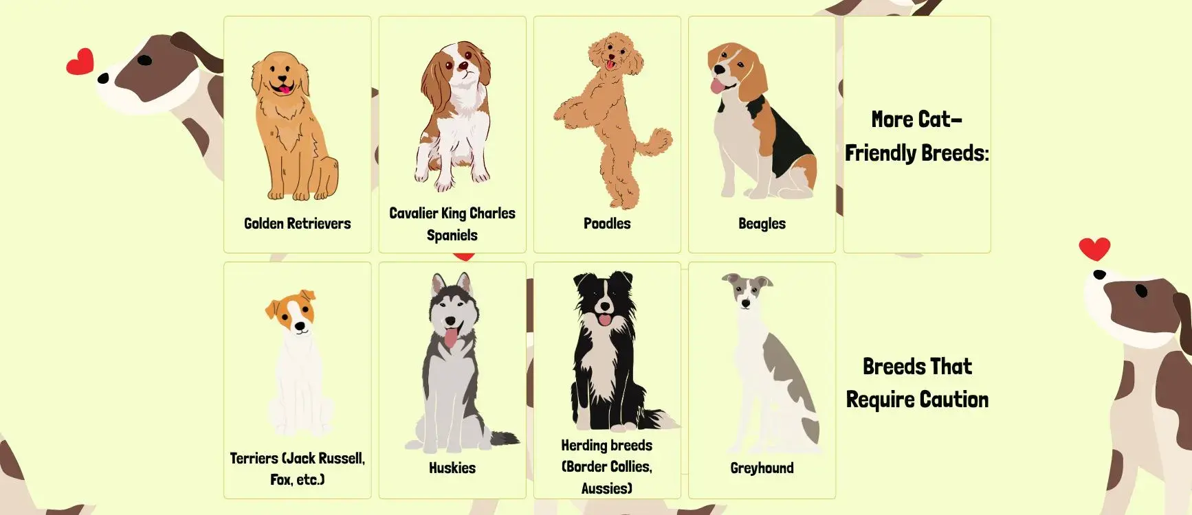 a graphic showing breed specific introductions for dogs and cats