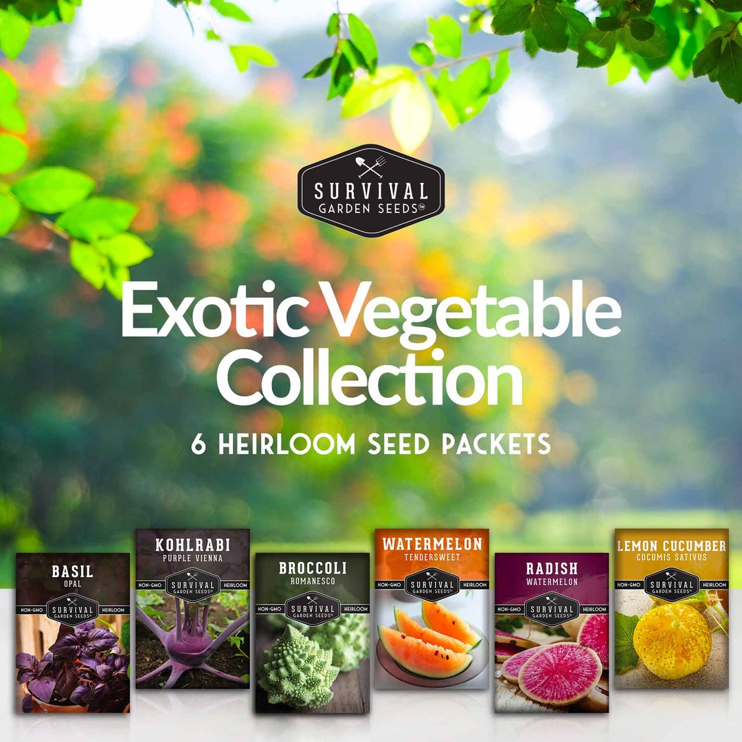 Popular Delights Heirloom Seed Collection - Seed Kit - Gift Box