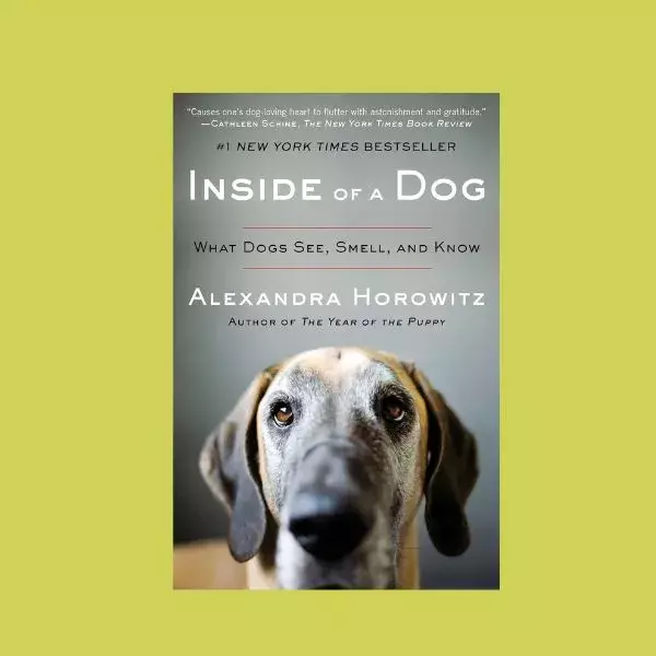 books for dog dads coffee table