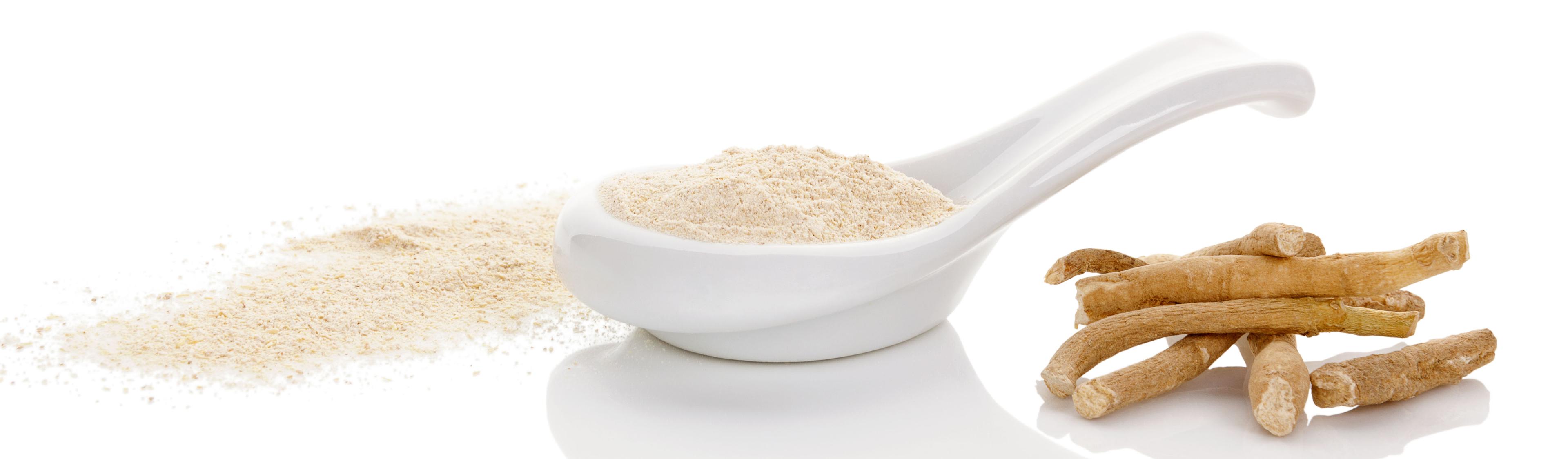Ashwagandha powder in a spoon and outside of the spoon in a pile, and dried ashwagandha root in a pile.