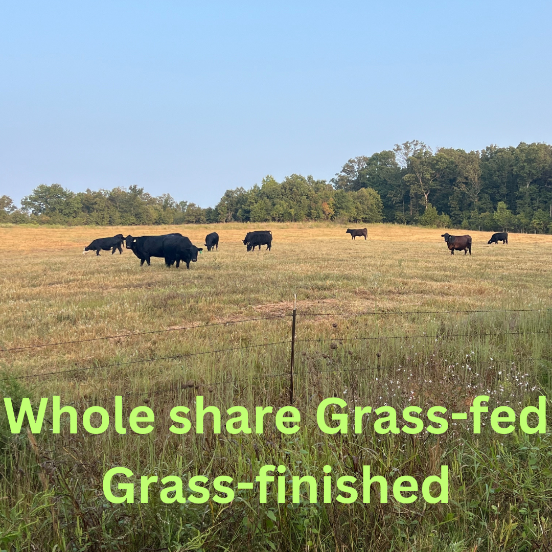 GRASS FED GRASS FINISHED Whole beef deposit