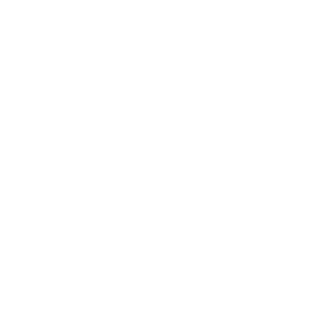 DNA strand icon crossed out inside a circle, symbolizing genetically unmodified ingredients.