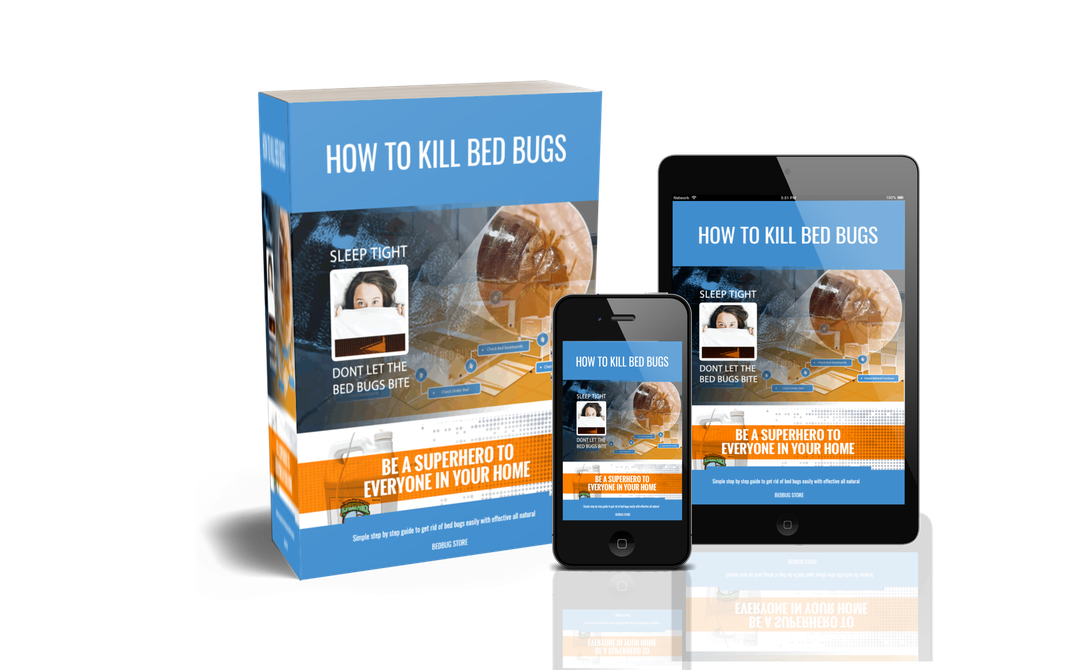 how to kill bed bugs