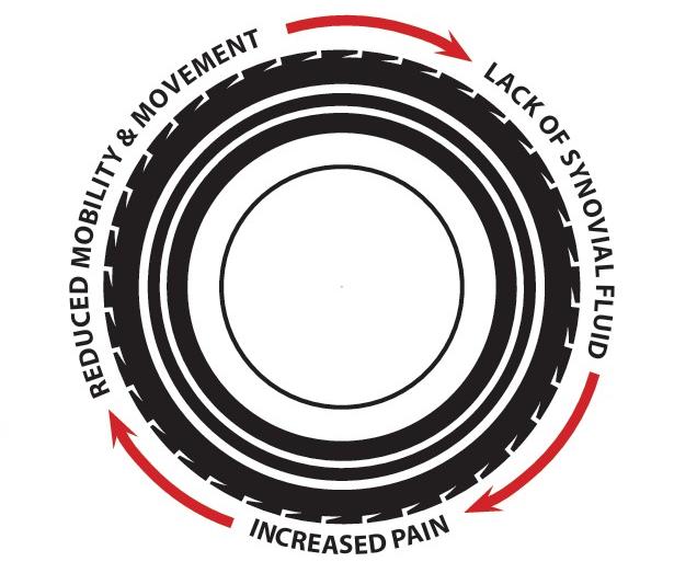 Figure 3.3: SF Pain Feedback Loop.