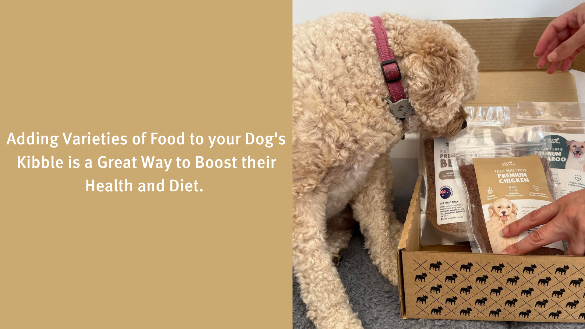 How to improve your dogs kibble Pet Snacks
