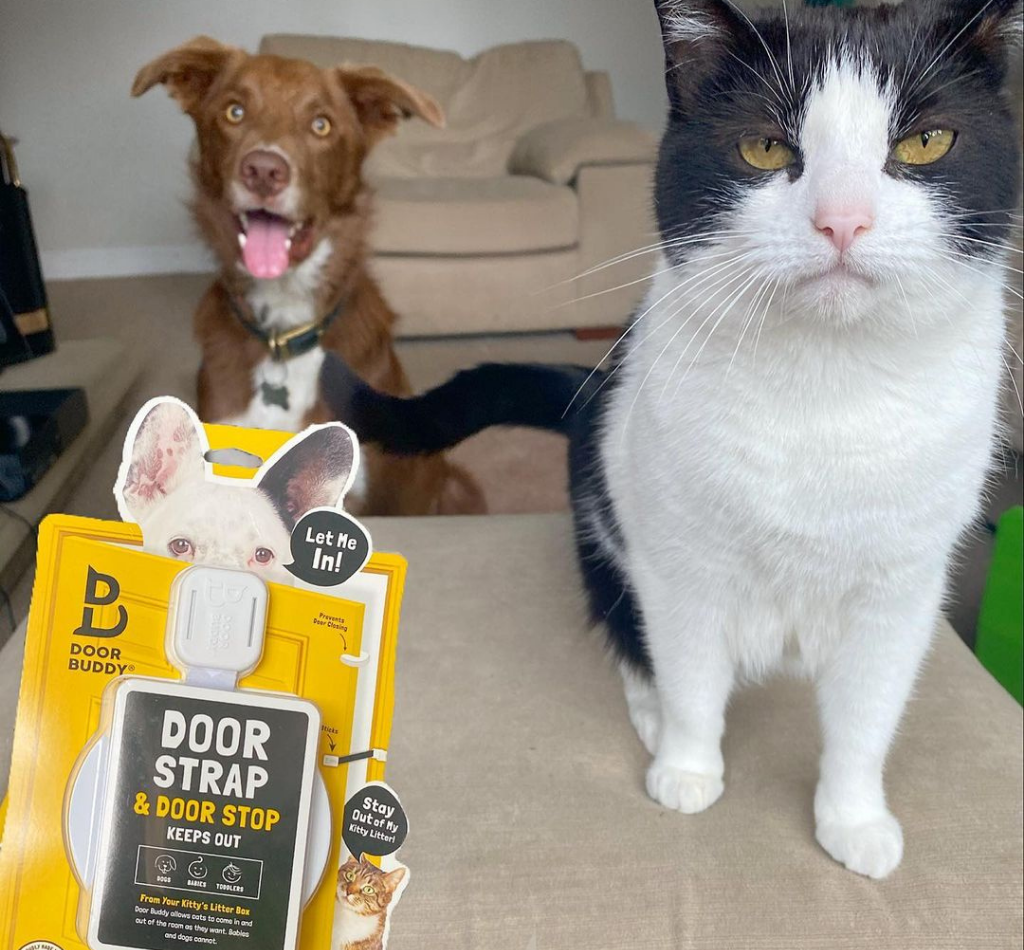 A black and white cat sits beside unopened Door Buddy door strap packaging while a happy dog sits in the background. The image highlights the Door Buddy cat door strap as a simple way to keep dogs out of a room while still allowing cats to pass through easily.