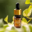 Prinourish Skin Enriching Superfood Serum 2