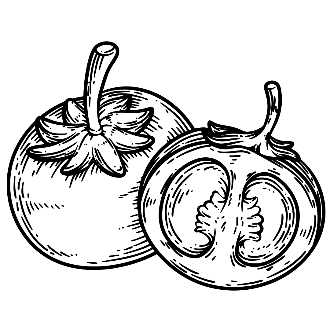 Rajčica