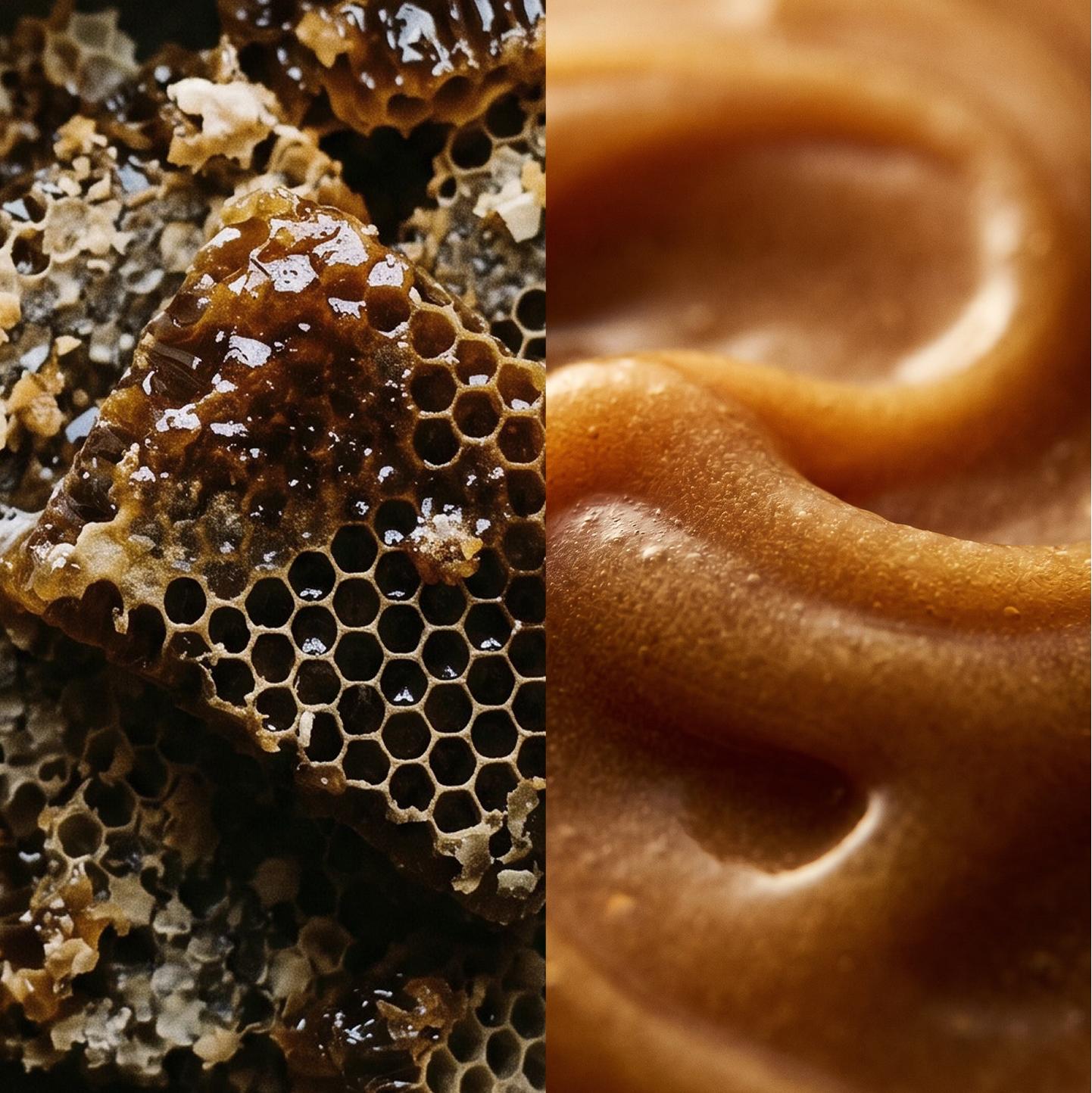 Manuka-Strauch und Bienenstöcke in Neuseeland neben Bienenwabe mit Honig – 100 % Manuka aus Neuseeland