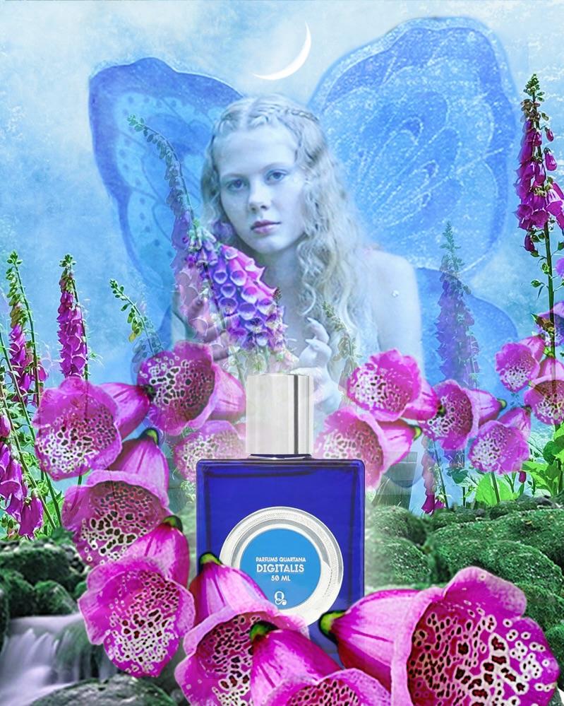 Digitalis by QUARTANA