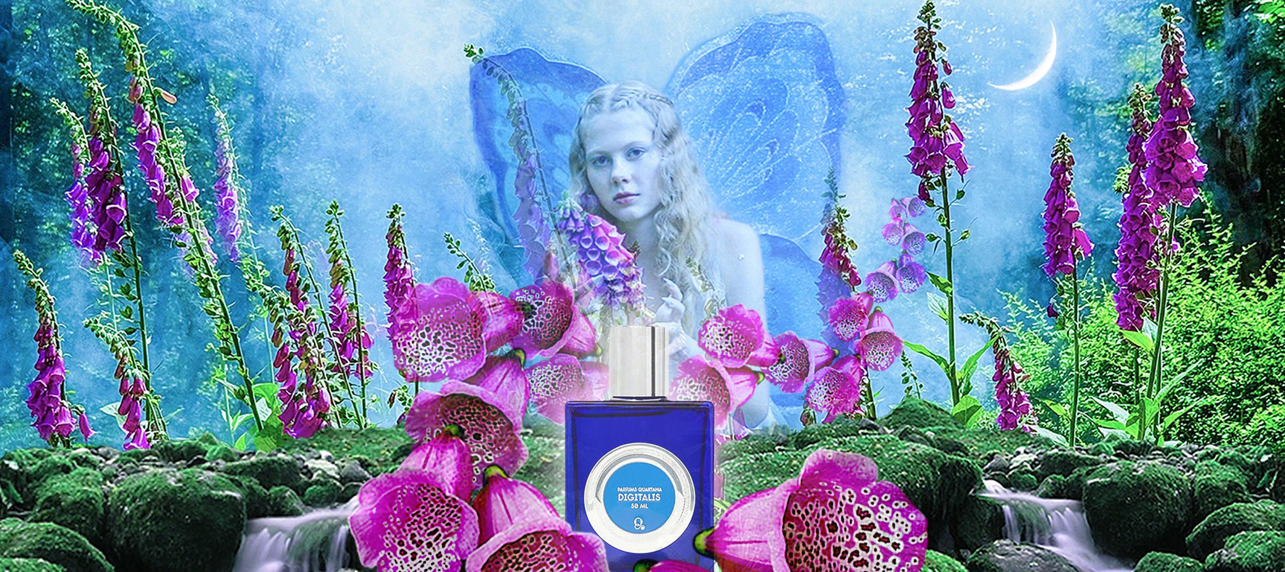 Digitalis by QUARTANA