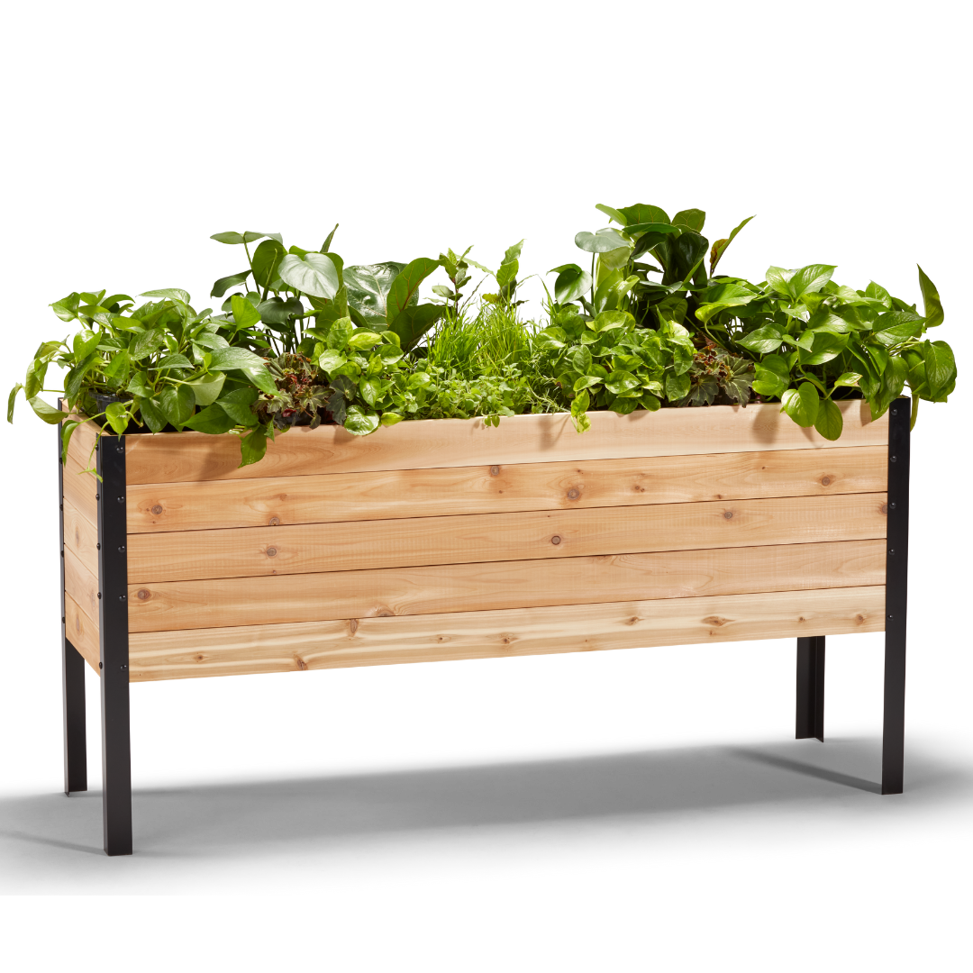 60 inch raised garden bed
