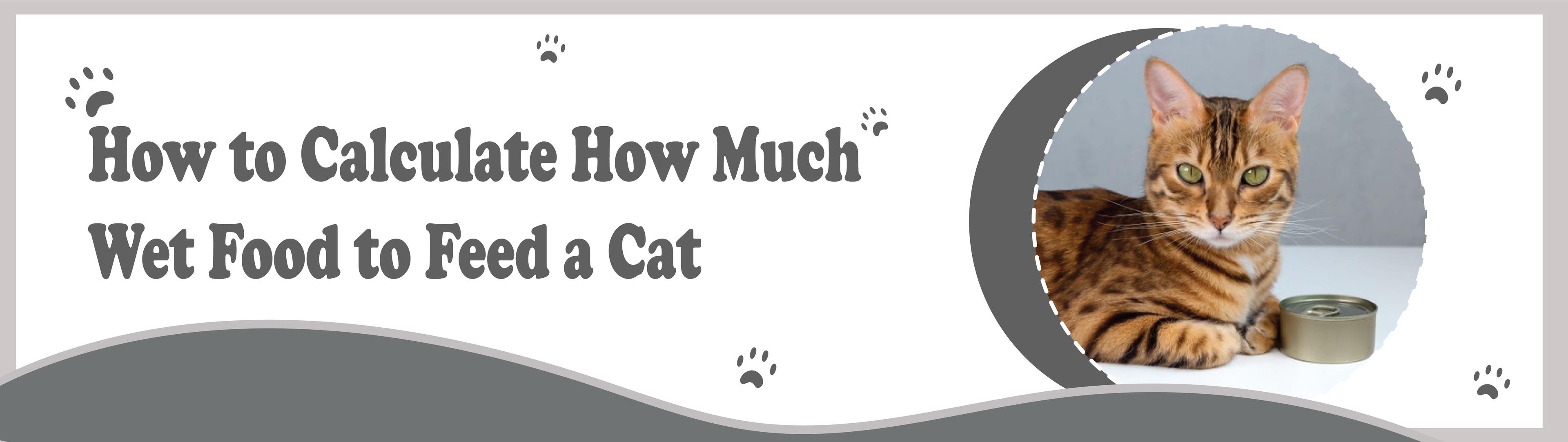 7 Healthy Advantages of Organic Cat Food Banner Design