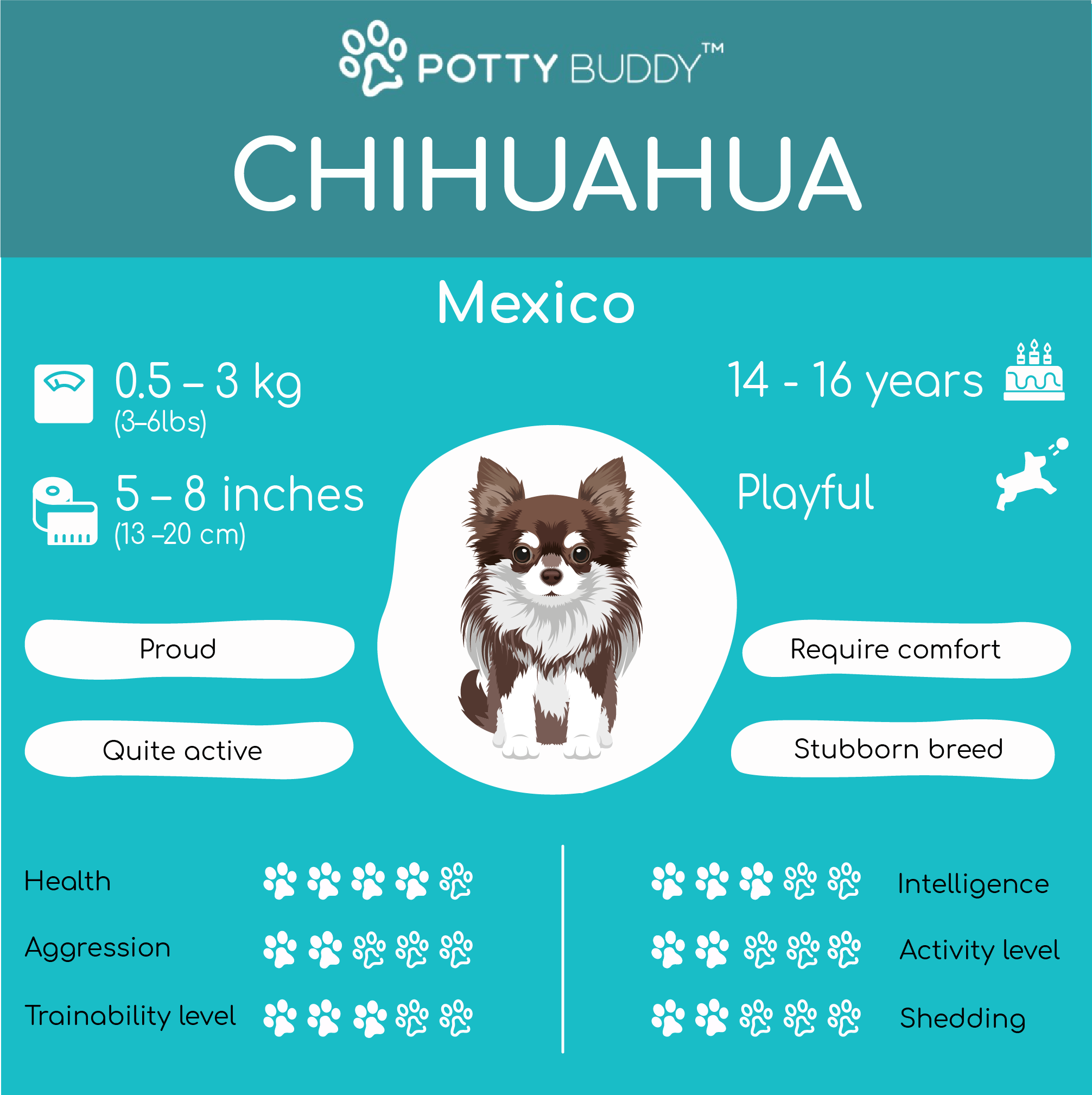 Chihuahua Dog Characteristics in one picture