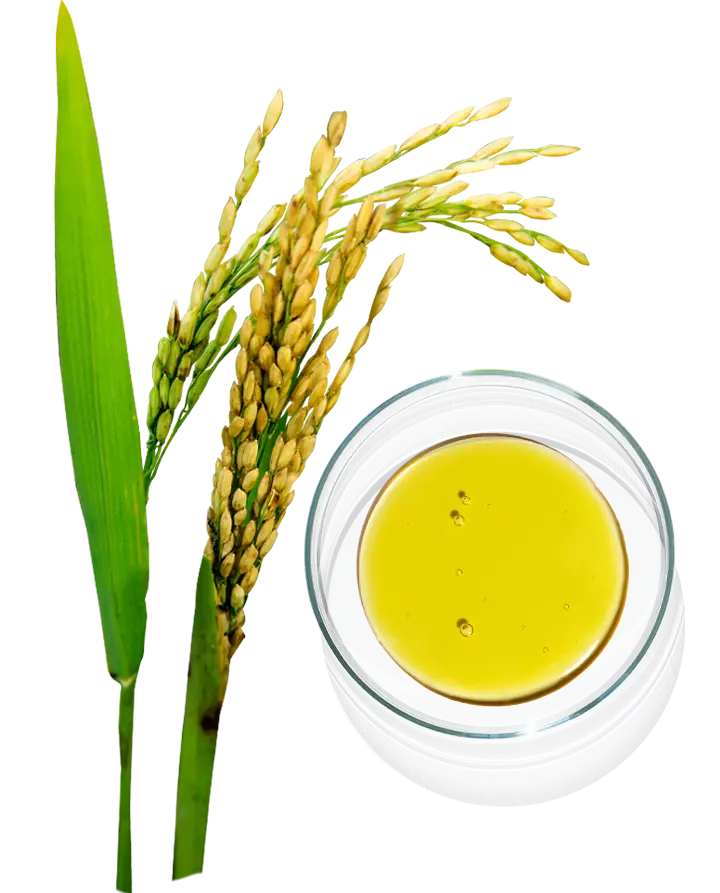 Rosemary & Spearmint Leaf