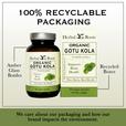 Bottle and box of Herbal Roots Organic Gotu Kola. Above box and bottle it says 100% Recyclable Packaging. Arrow to left of bottle says "Amber Glass Bottles." Arrow to right of box says "Recycles Boxes." Below image says "We care about our packaging and how our brand impacts the environment."